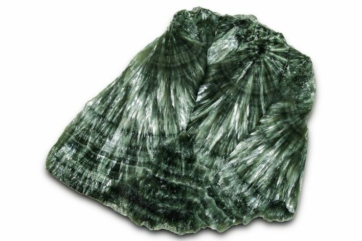 Polished Seraphinite Slab - Korshunovkiy Mine, Siberia #354265